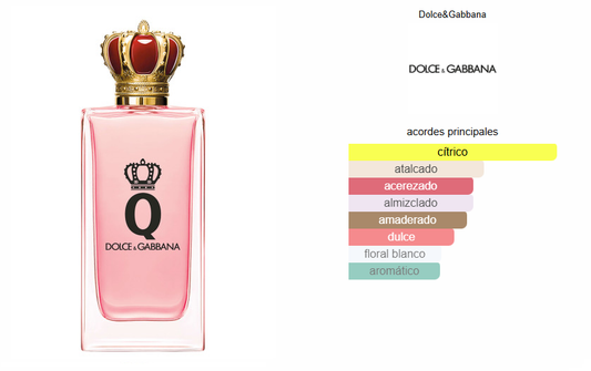 Q by Dolce & Gabbana